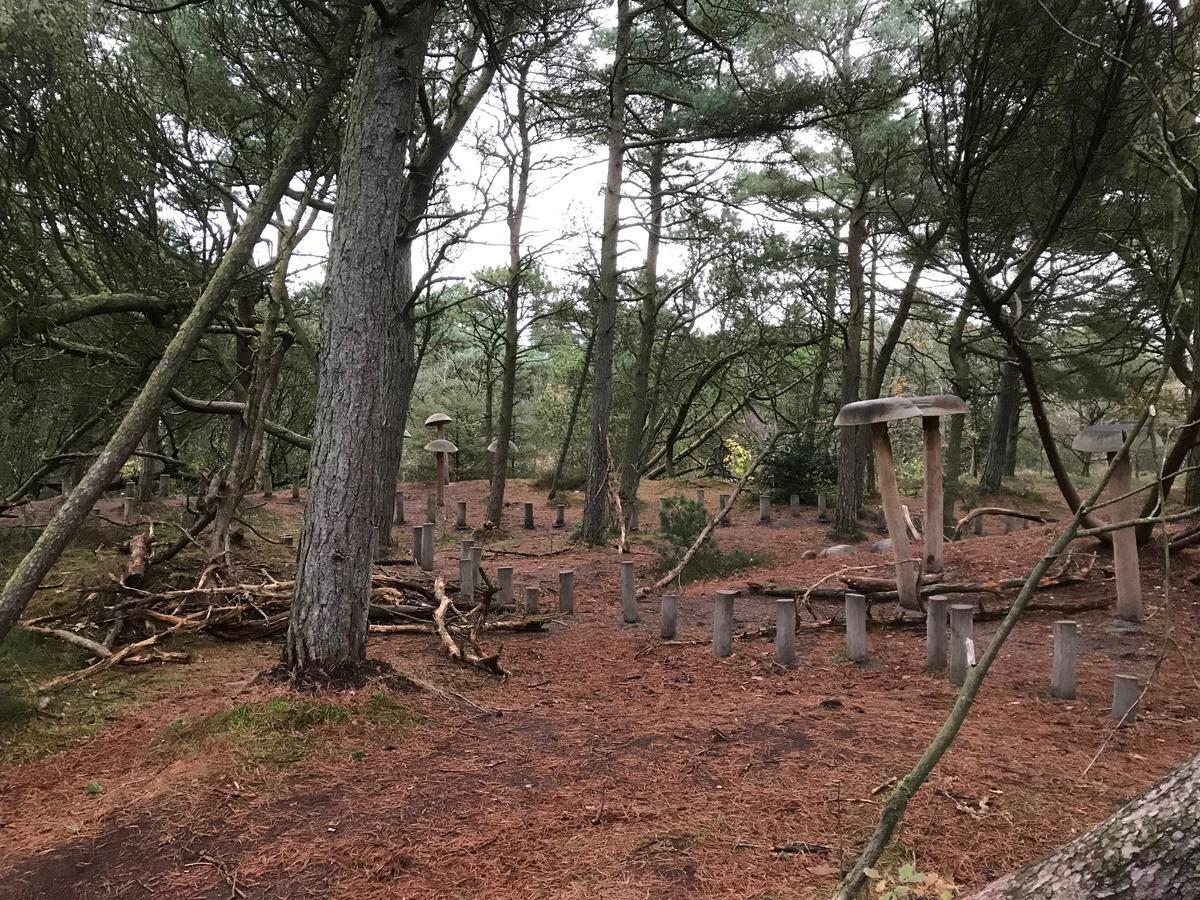 Rømø KirkebyGulirisvej Havneby Romoアパートメント エクステリア 写真